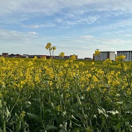 Hostel Belgrade Airport Luxury Single Bed