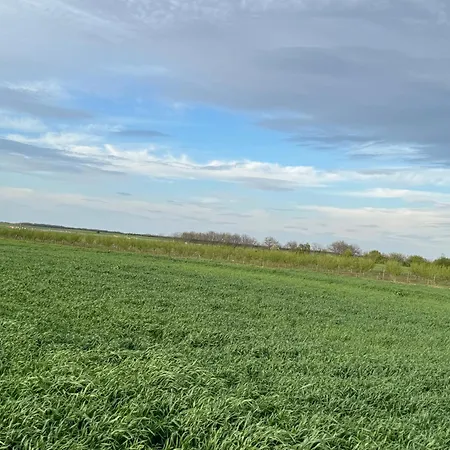 Belgrade Airport Luxury Single Bed * Surcin